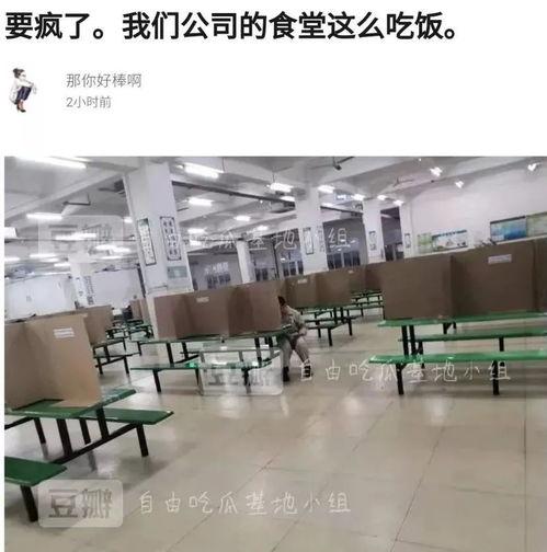 自由吃瓜基地 豆瓣,豆瓣上的娱乐盛宴