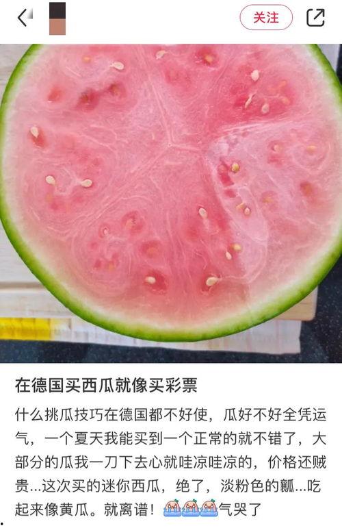 外国吃瓜,揭秘各国独特的“吃瓜”文化