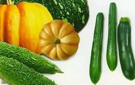 梦游吃瓜,一场吃瓜者的奇幻之旅