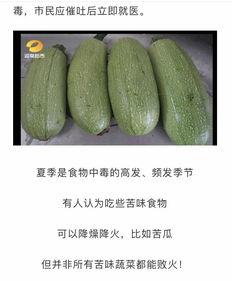 赖瓜不能随便吃,揭秘为何不能随便食用