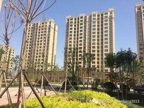 西苑丽景 吃瓜,一场吃瓜盛宴背后的故事