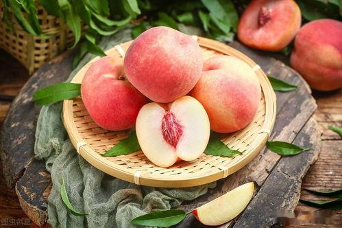 小暑吃哈密瓜,夏日消暑佳品探寻记