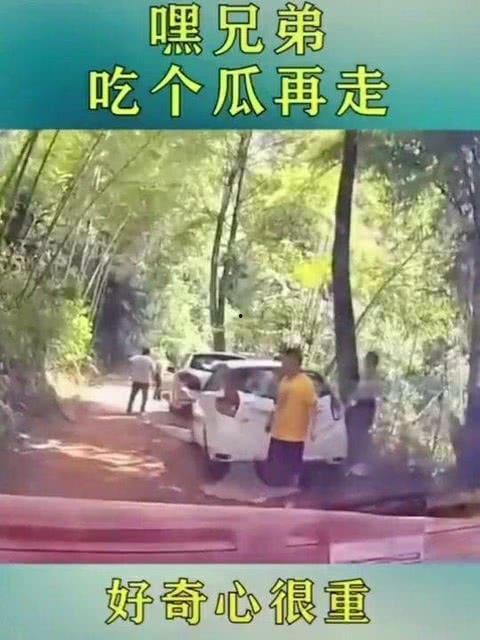 吃瓜群众的来源出处,从“吃瓜群众”起源看网络文化的演变与影响