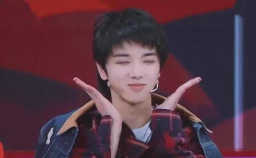 网友吃瓜华晨宇,娱乐圈的“瓜田”再起波澜