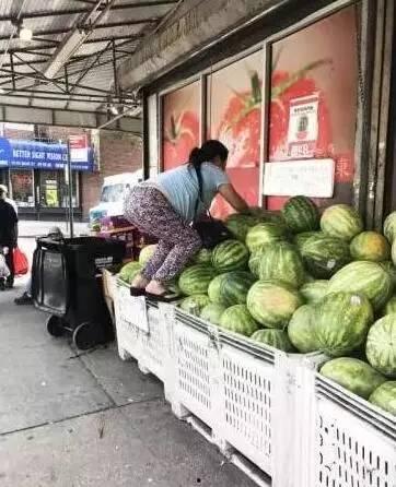 大妈吃的瓜叫什么,瓜界新宠，揭秘“什么瓜”的火爆之谜