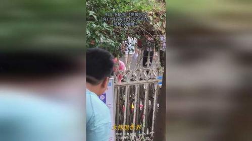 顾客吃瓜完整视频,揭秘顾客吃瓜全过程